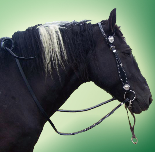 Draft Horse Western Bridles