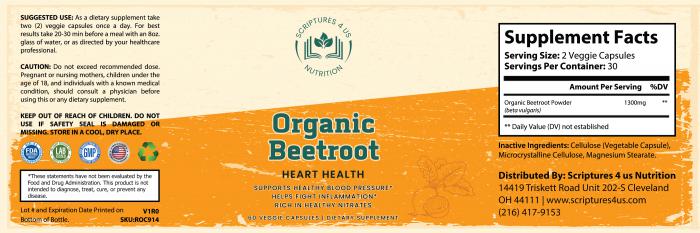 Organ-Beet-Root